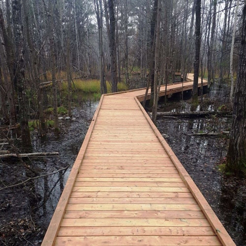 Boardwalk